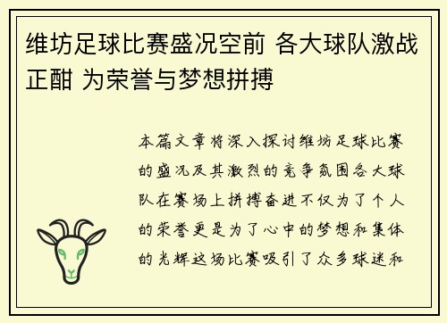维坊足球比赛盛况空前 各大球队激战正酣 为荣誉与梦想拼搏