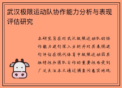 武汉极限运动队协作能力分析与表现评估研究